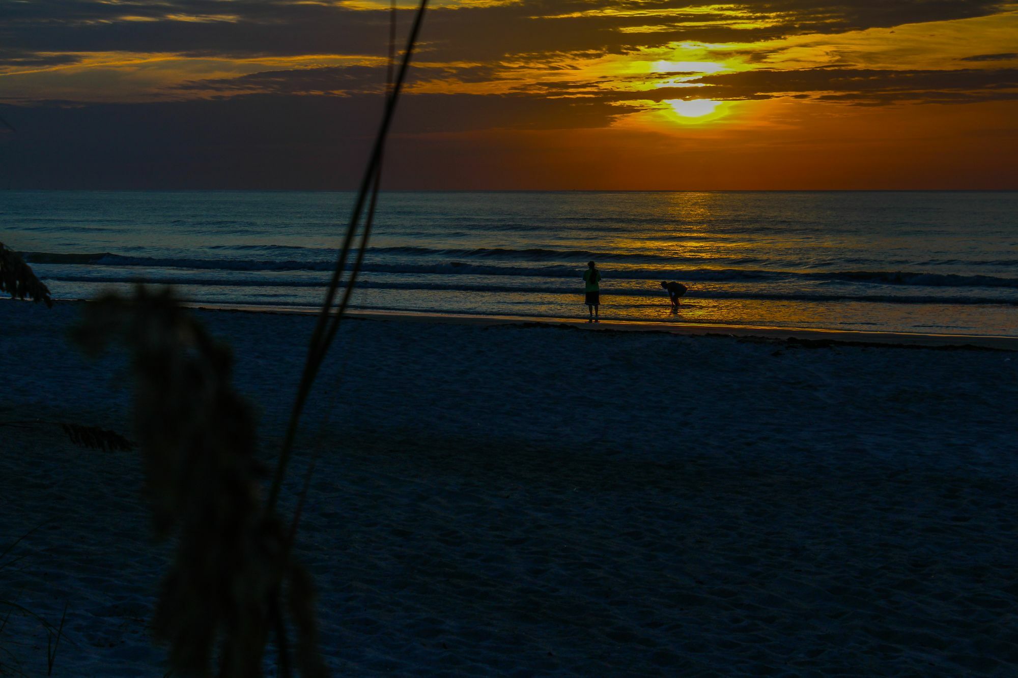 The Resort On Cocoa Beach Buitenkant foto
